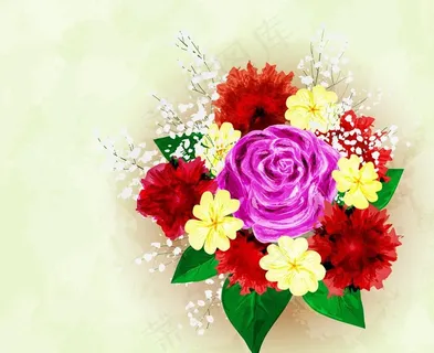 花卉图片 花卉图片