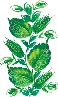 手绘植物花朵矢量素材