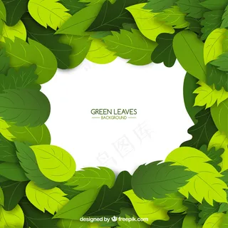 绿叶的自然背景