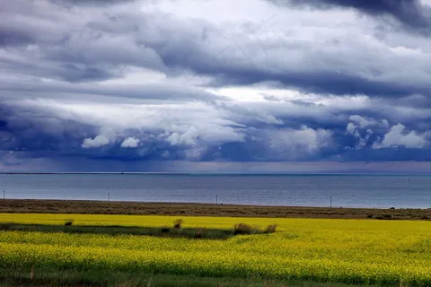 大美青海湖图片