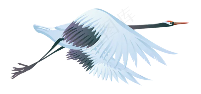 动物免抠png图片ps素材飞鸟