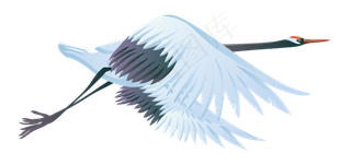 动物免抠png图片ps素材飞鸟