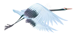 动物免抠png图片ps素材飞鸟