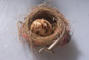 创意蔬菜图片