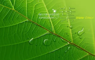 水背景素材图片