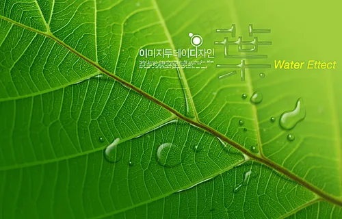 水背景素材图片 水背景素材图片
