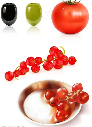 4款蔬果矢量素材图片