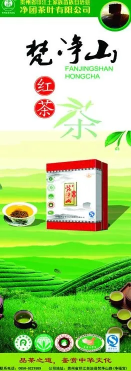 茶叶易拉宝图片(2657X7087(DPI:150))psd模版下载