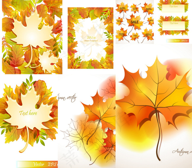 精美秋季枫叶设计矢量素材
