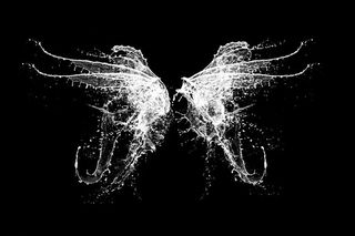 天使的翅膀图片