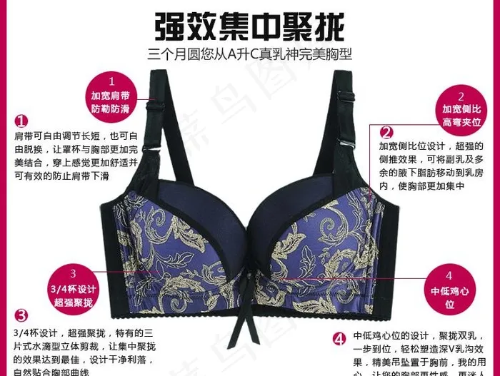 文胸内衣功能展示图片psd模版下载