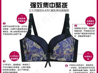文胸内衣功能展示图片