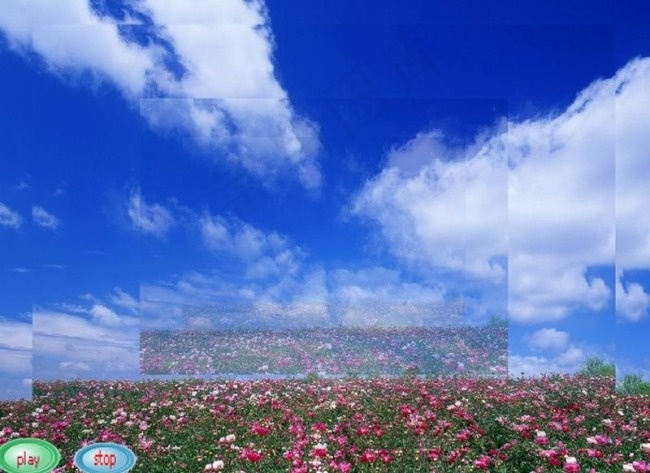 补间运动动画