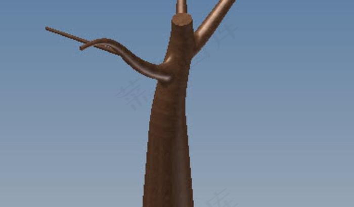 橄榄树