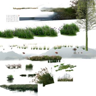 PSD装修设计水生植物素材