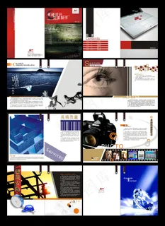 电子集团公司海外业务宣传册设计下载