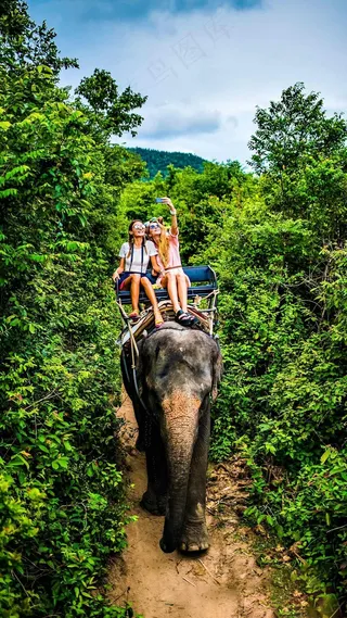坐在大象上的外国美女高清摄影图片