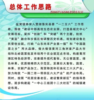 总体工作思路图片