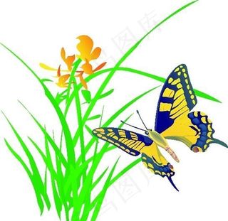 蝴蝶 昆虫 缤纷彩蝶 矢量动物 卡...