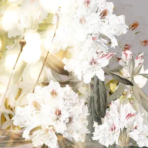 花卉psd源文件
