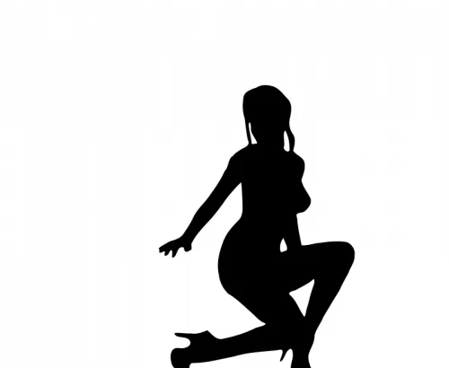 有吸引力的女人剪影矢量