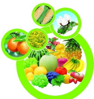 水果 蔬菜高清图片