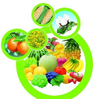 水果 蔬菜高清图片