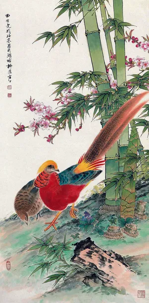 翠竹锦鸡图片 翠竹锦鸡图片
