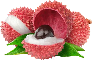 淘宝天猫新鲜荔枝妃子笑免抠png透...