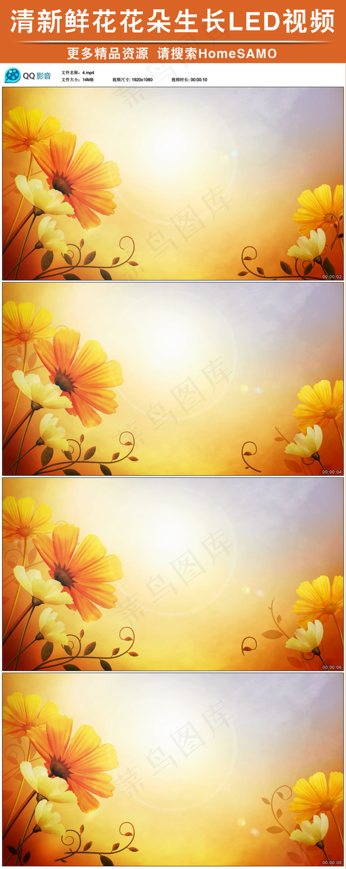清新鲜花花朵生长动态led背景视频...