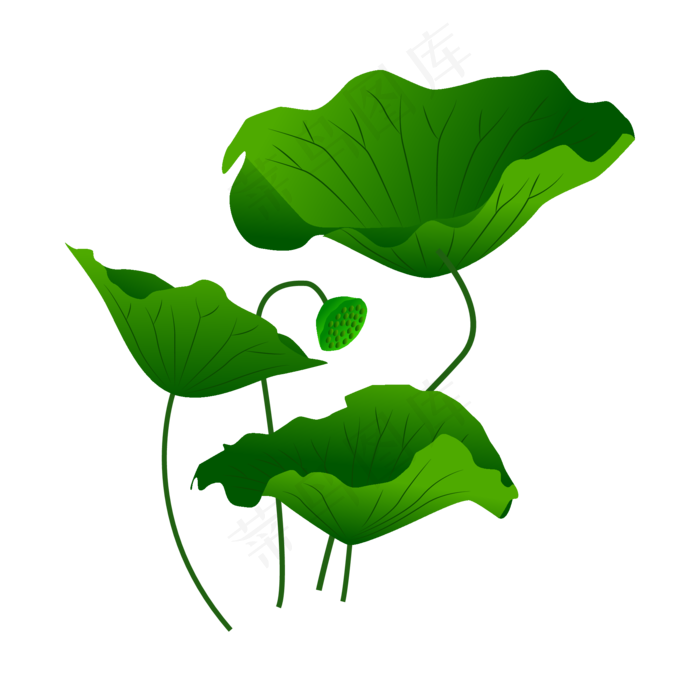 矢量手绘荷花荷叶矢量手绘荷花荷叶