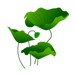 矢量手绘荷花荷叶矢量手绘荷花荷叶
