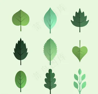 树叶图片