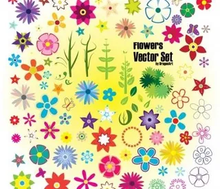 丰富多彩的夏花