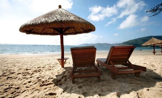 沙滩风国光图片