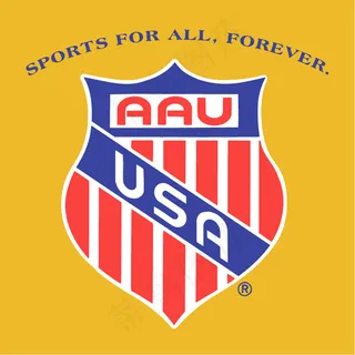 美国业余体育联合会