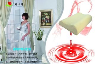 天鹅绒记忆枕图片