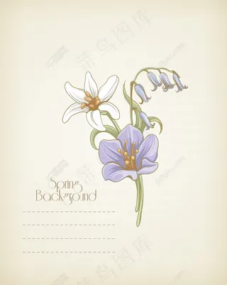 春天开花的花卉背景矢量插画