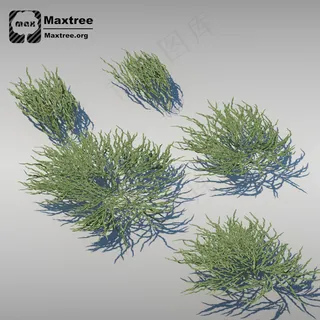 草模型图片 草模型图片
