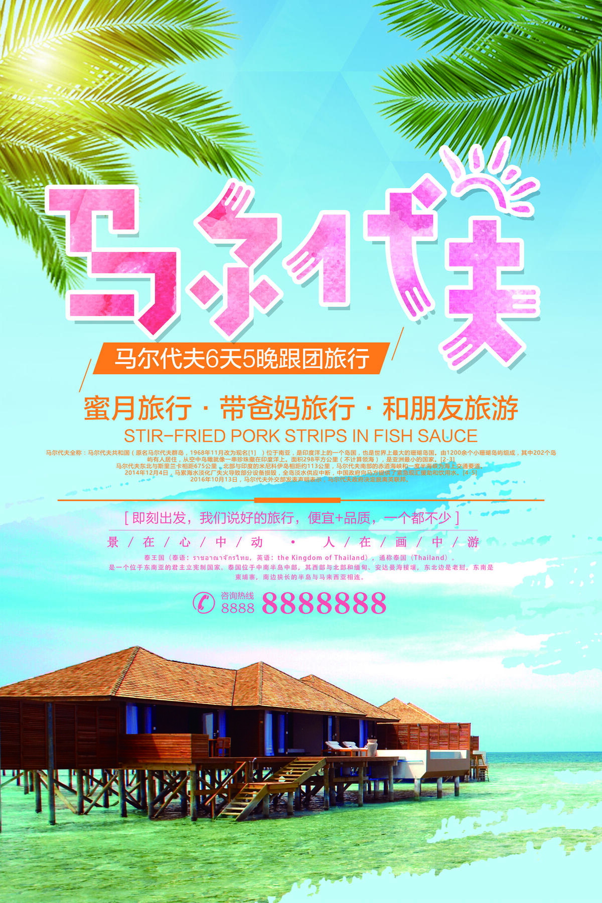 2017时尚简约马尔代夫旅游海报模...(3543X5315(DPI:150))psd模版下载
