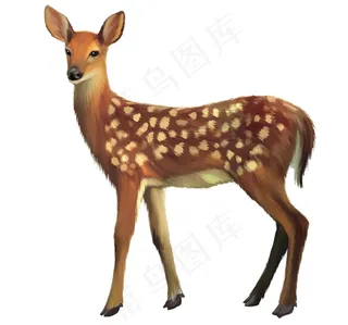 梅花鹿矢量素材