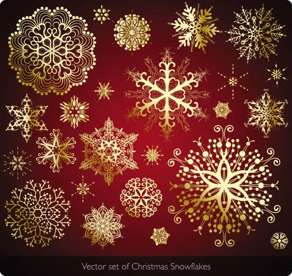 精美雪花花纹02——矢量素材