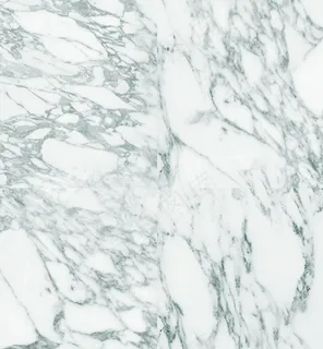 莲花形吊厅售楼大厅模型效果图