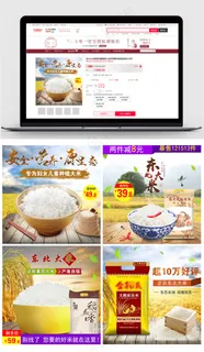 食品有机大米主图直通车图片模板