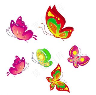 彩色蝴蝶图片