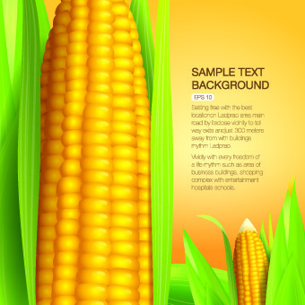 矢量有机食品backgorunds...