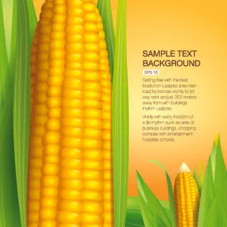 矢量有机食品backgorunds...