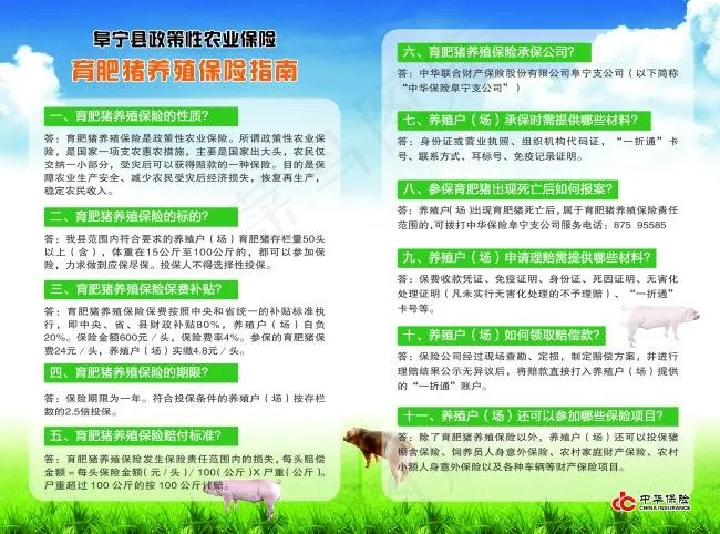 中华保险两折页反