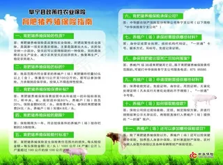 中华保险两折页反