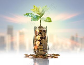 金币嫩芽小树苗孵化培育理财商务金融财富主题素材